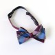 Lee Oppenheimer Bowtie No. 2